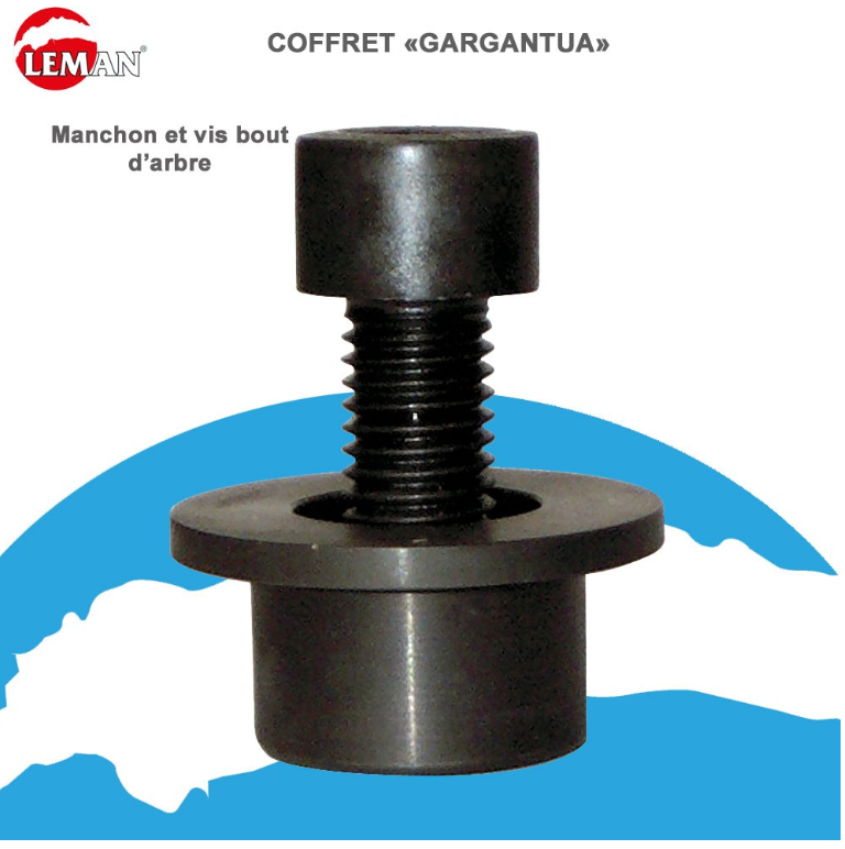 LEMAN - COFFRET 3 P.O. AL.30 ET ACCESSOIRES / PROFIL C.P. TENON / POUR COMBINE – Image 6