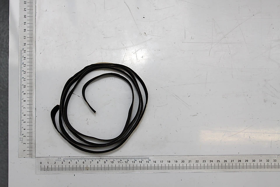 SCHEPPACH - Bande De Pare-éclats Pour Rail 1400 Mm De Scie Plongeante Scheppach, Kity Et Woodster